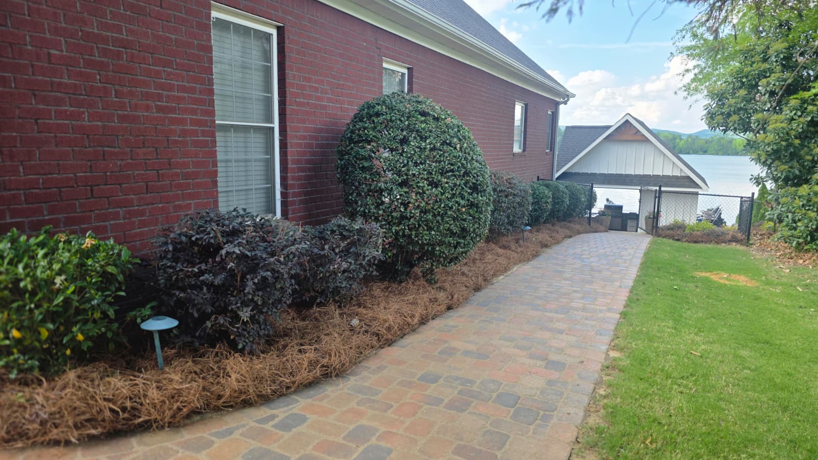 Yard cleanup